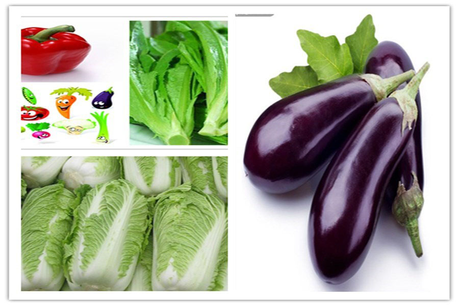 1636278583212037.jpg 1-200P9121634K2.jpg